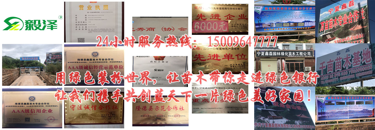 乐鱼官网游戏