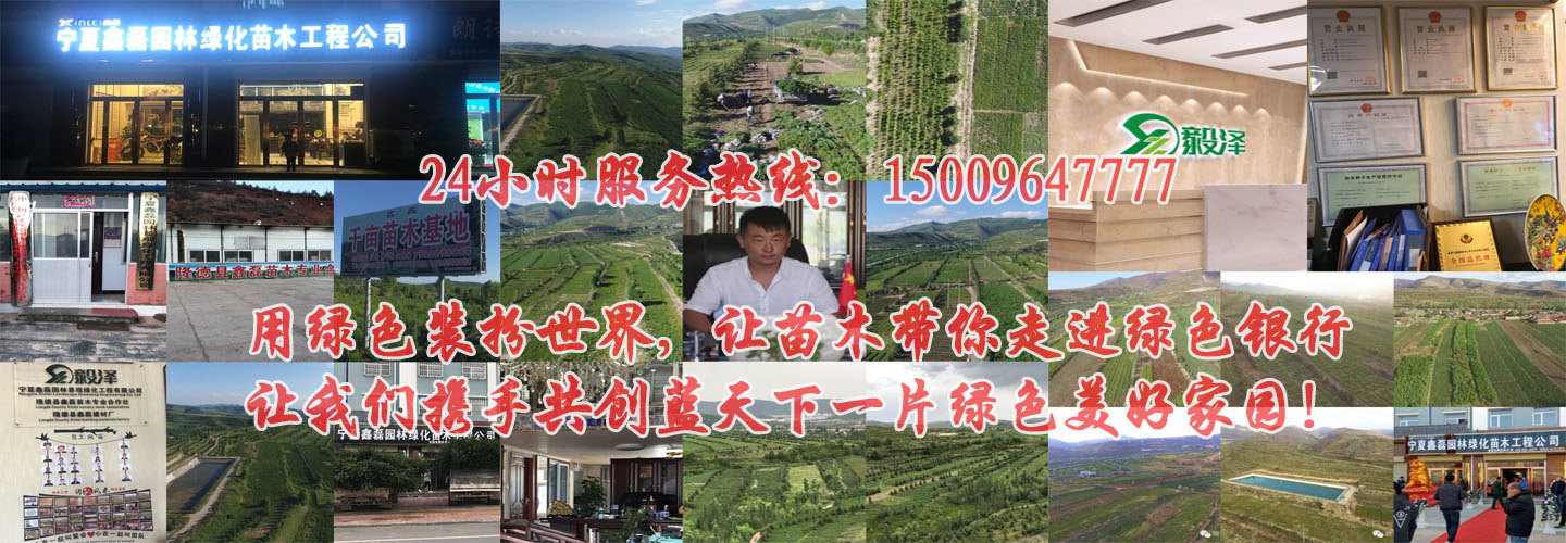 乐鱼官网入口地址