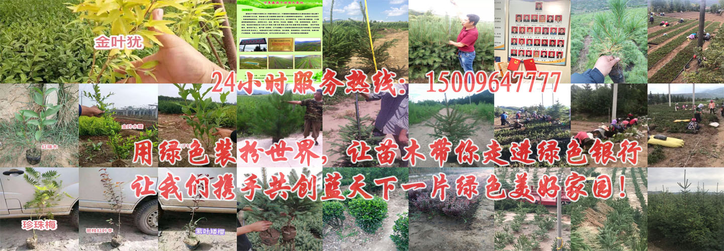 乐鱼官网入口优惠