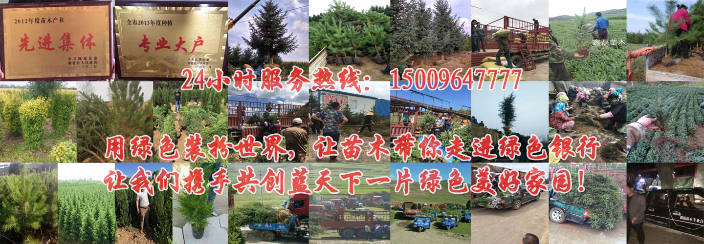 乐鱼官网入口地址